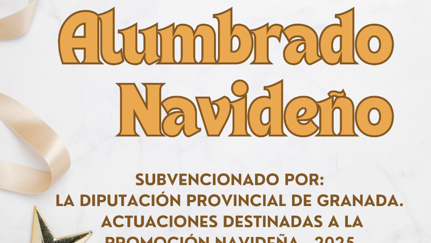 Alumbrado Navideño