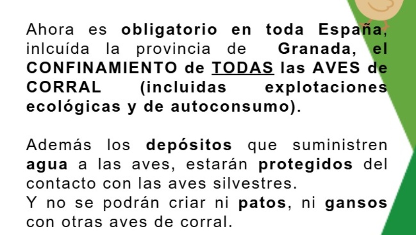 Nota Informativa Gripe Aviar