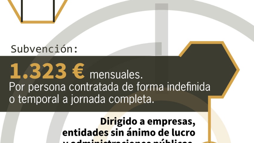 PUBLICIDAD SUBVENCIÓN